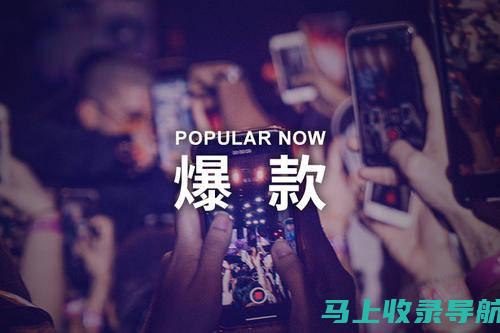 打造爆款视频的背后推手：短视频SEO公司的作用解析